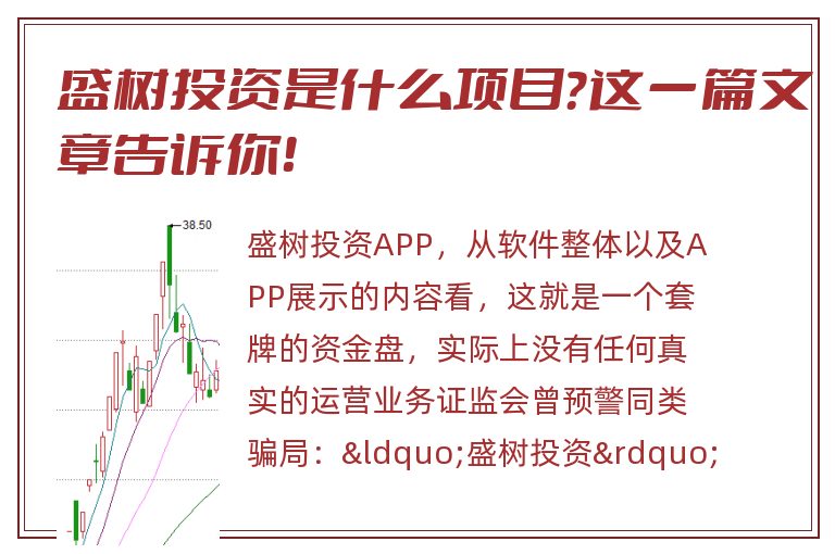 盛树投资是什么项目？这一篇文章告诉你！