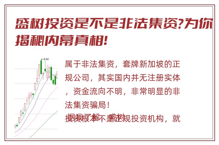 盛树投资是不是非法集资？为你揭秘内幕真相！