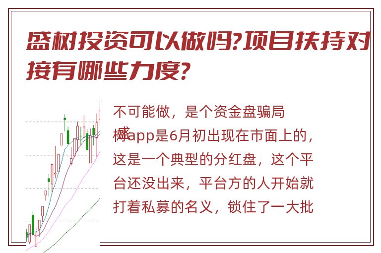 盛树投资可以做吗？项目扶持对接有哪些力度？