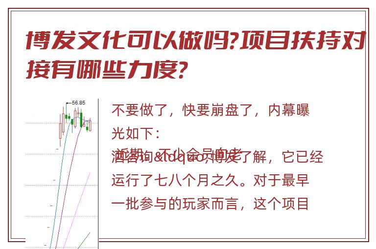 博发文化可以做吗？项目扶持对接有哪些力度？