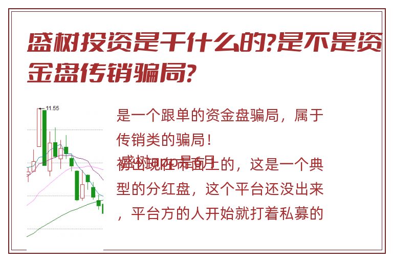 盛树投资是干什么的？是不是资金盘传销骗局？