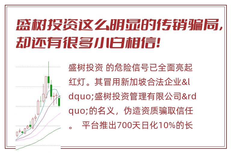 盛树投资这么明显的传销骗局，却还有很多小白相信！