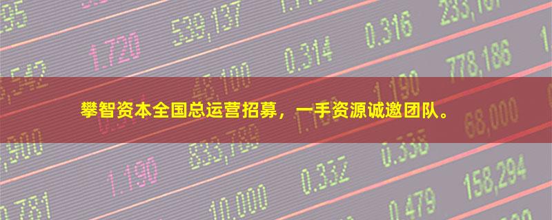 攀智资本.jpg