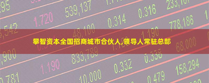 攀智资本全国招商城市合伙人,领导人常驻总部.jpg 攀智资本.jpg