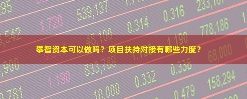 攀智资本.jpg
