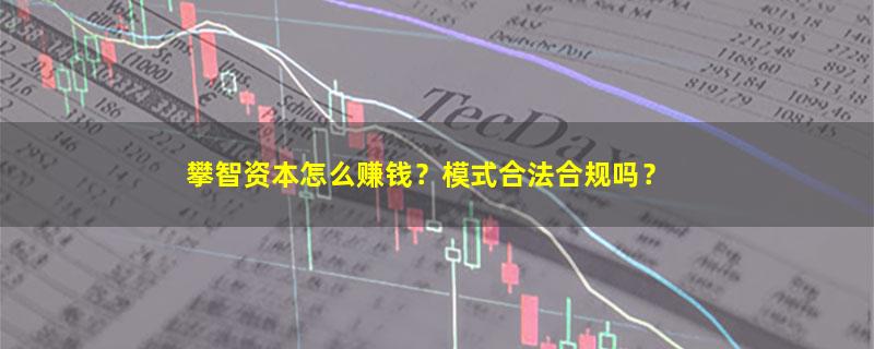 攀智资本.jpg