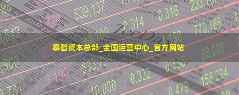 攀智资本.jpg
