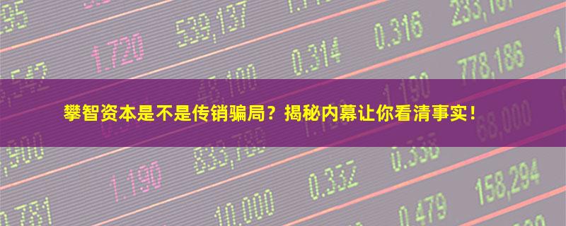 攀智资本.jpg