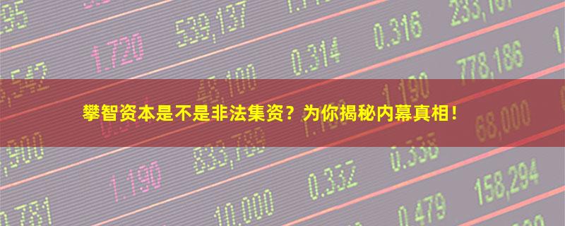 攀智资本.jpg