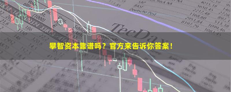 攀智资本.jpg